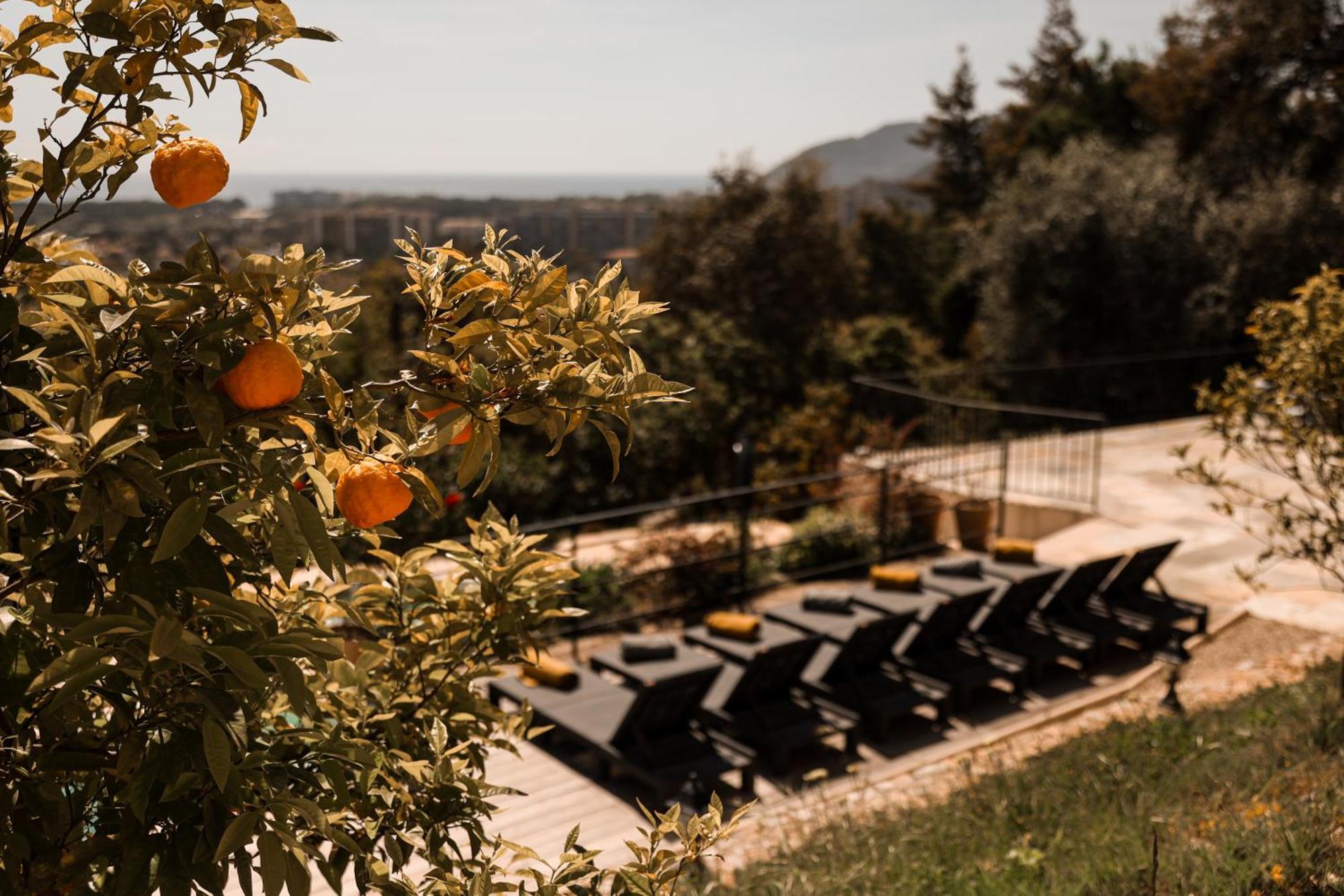 Villa Les Roches Mandelieu Eksteriør bilde